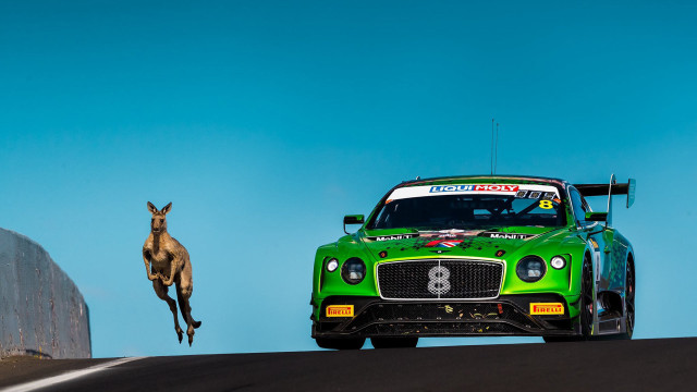 Green car kangaroo wall jumping free wallpaper for desktop - medium preview image