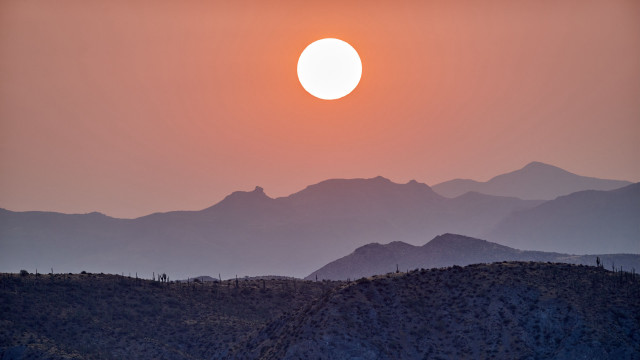 Sunset mountain bird foreground forest free wallpaper for desktop - medium preview image