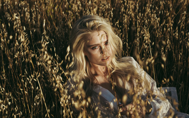 Woman blonde hair field forest free wallpaper for desktop - medium preview image