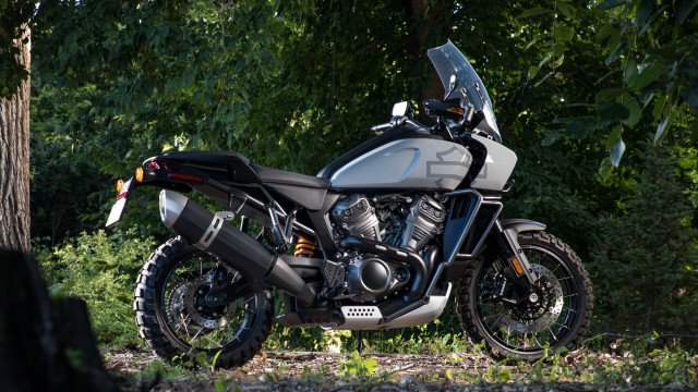 Motorcycle forest tree bush gear free wallpaper for desktop - medium preview image