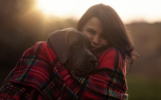 Cozy woman hugging dog sunset free wallpaper for desktop - medium preview image