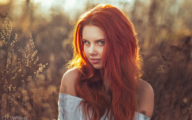 Red haired woman field portrait free wallpaper for desktop - medium preview image