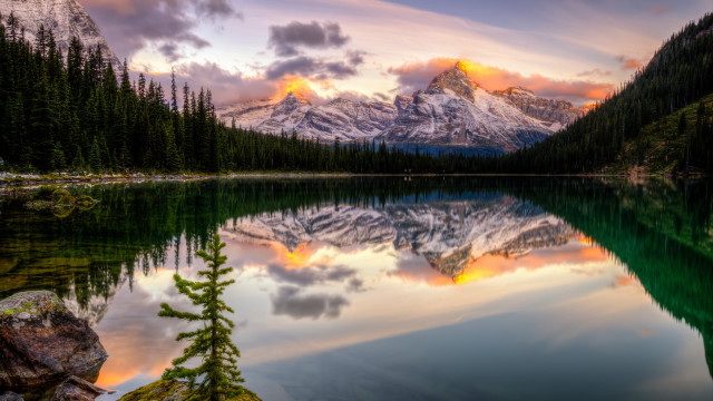 Mountain lake sunset pine forest free wallpaper for desktop - medium preview image
