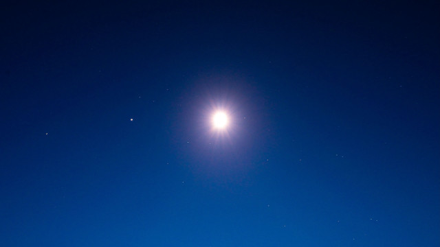 Bright moonlight snow field tree free wallpaper for desktop - medium preview image