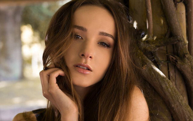 Woman long hair portrait tree free wallpaper for desktop - medium preview image