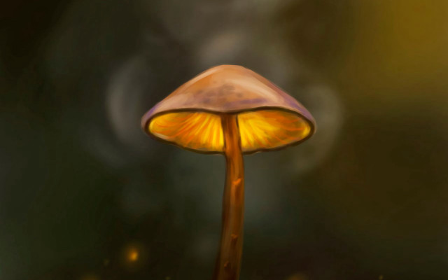 Mushroom yellow light smoke digital free wallpaper for desktop - medium preview image