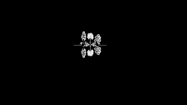 Snowflake blackwhite mandelbrot fractal deconstructivism free wallpaper for desktop - medium preview image
