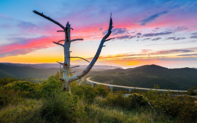 Tree grass road mountains sunset free wallpaper for desktop - medium preview image