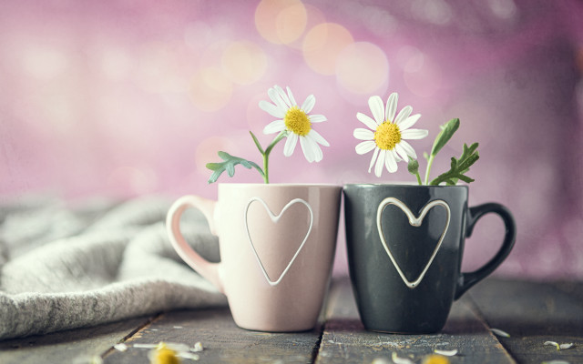 Coffee cups flowers table blanket free wallpaper for desktop - medium preview image
