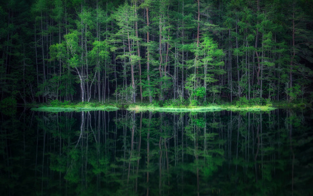 Forest lake island green trees free wallpaper for desktop - medium preview image