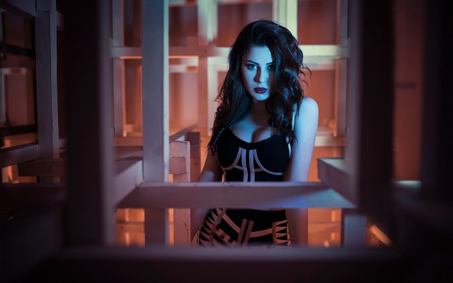 Elina karimova gothic library portrait free wallpaper for desktop - medium preview image