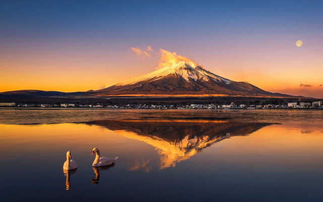 Mountain reflection sunset swan japan free wallpaper for desktop - medium preview image