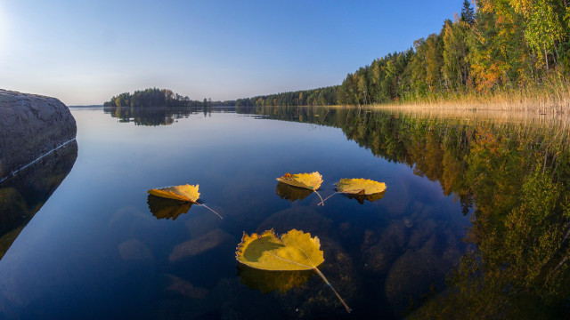 Lake leaves forest blue sky free wallpaper for desktop - medium preview image