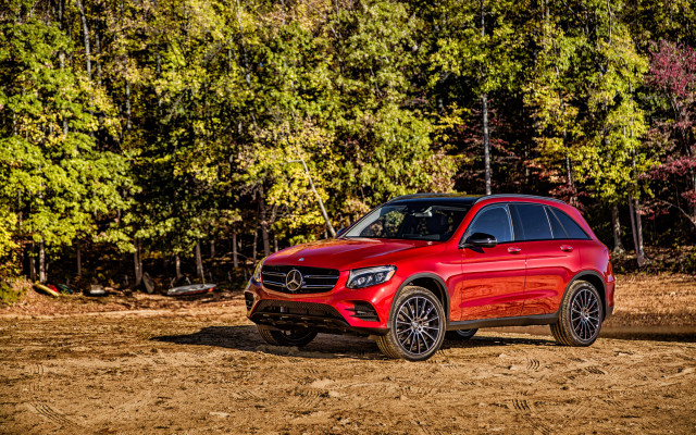 Red mercedes suv parked forest free wallpaper for desktop - medium preview image