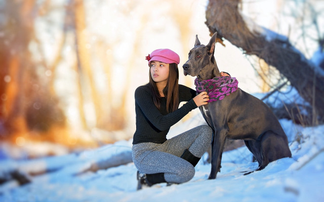 Woman snow dog pink hat free wallpaper for desktop - medium preview image