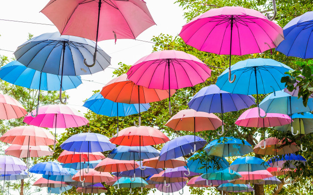 Umbrellas line trees sky ecological free wallpaper for desktop - medium preview image