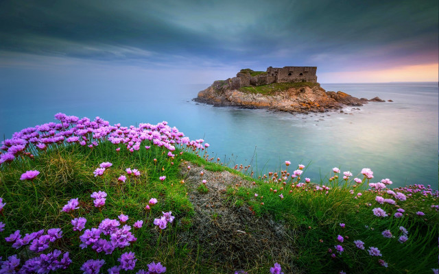 Castle island ocean purple flowers free wallpaper for desktop - medium preview image