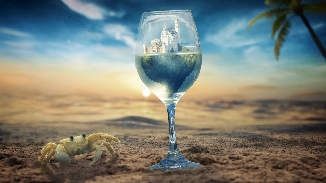 Wine crab beach sunset palm free wallpaper for desktop - medium preview image