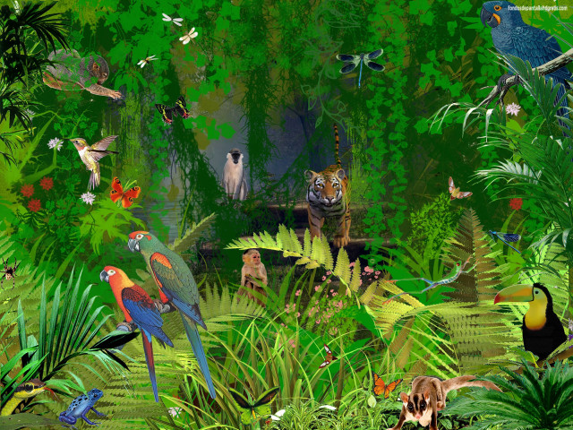 Jungle painting animals birds wildlife free wallpaper for desktop - medium preview image