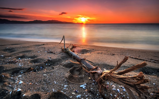 Beach log sunset rocks debris free wallpaper for desktop - medium preview image