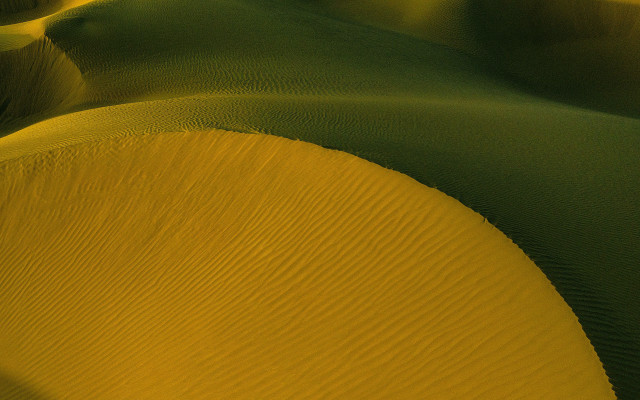 Desert sand dunes barren trees free wallpaper for desktop - medium preview image