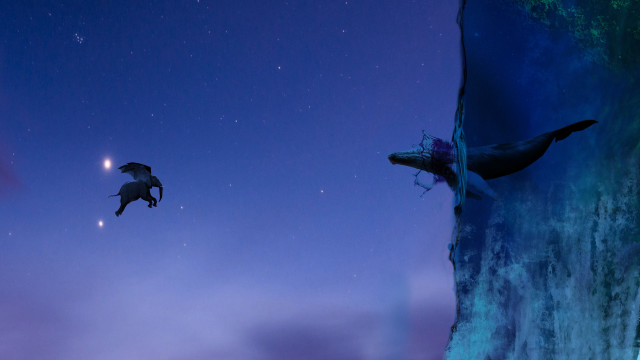 Birds cliff purple sky crescent free wallpaper for desktop - medium preview image