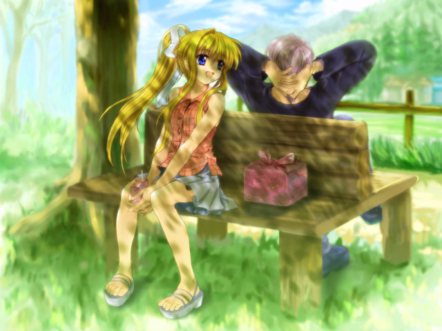 Man woman bench grass box free wallpaper for desktop - medium preview image