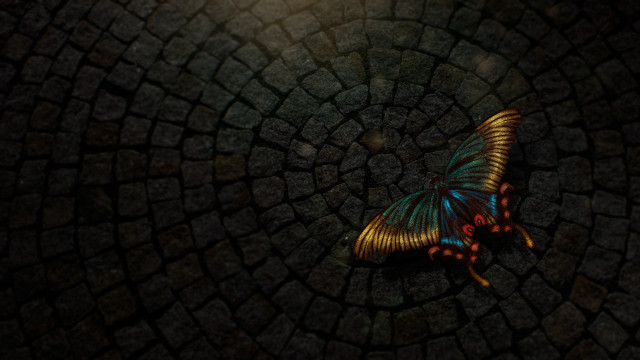 Butterfly stone floor night light free wallpaper for desktop - medium preview image