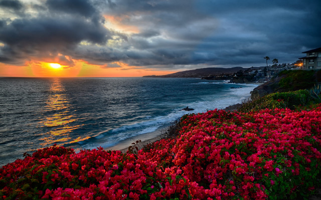 Sunset beach flowers building water free wallpaper for desktop - medium preview image