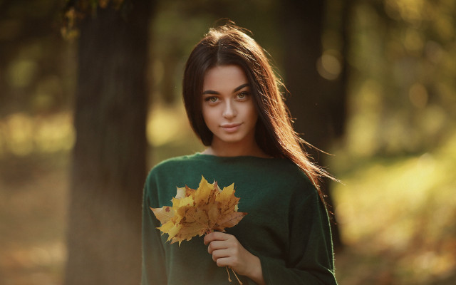 Woman leaf forest sunlight bokeh free wallpaper for desktop - medium preview image