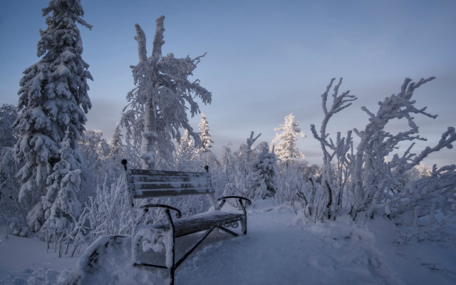 Snowy forest bench blue sky free wallpaper for desktop - medium preview image