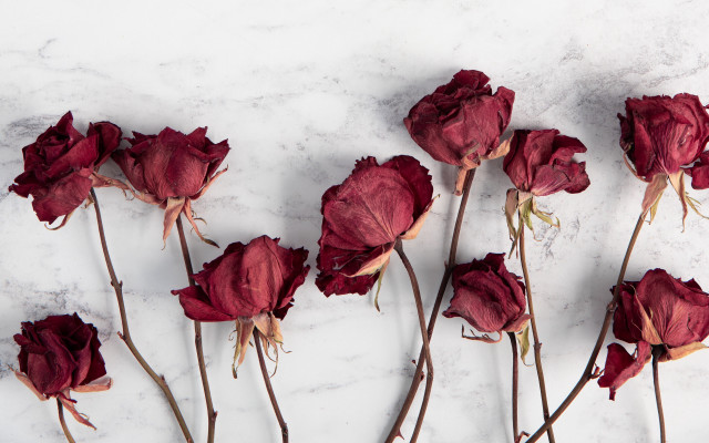 Red flowers white table marble free wallpaper for desktop - medium preview image