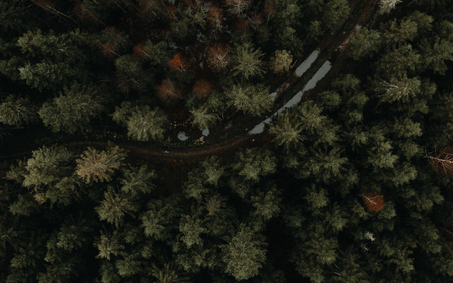 Above forest snowy road autumn free wallpaper for desktop - medium preview image