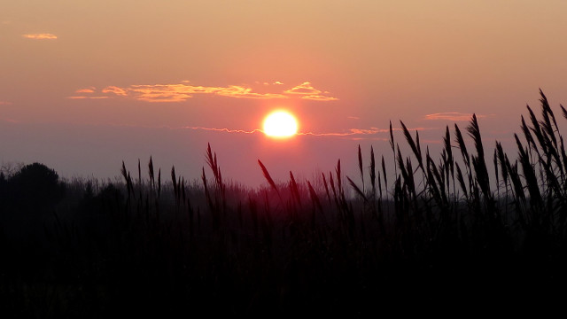 Sunset trees grass clouds mountain free wallpaper for desktop - medium preview image