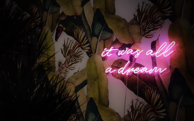 Neon dream wall plants retrowave free wallpaper for desktop - medium preview image