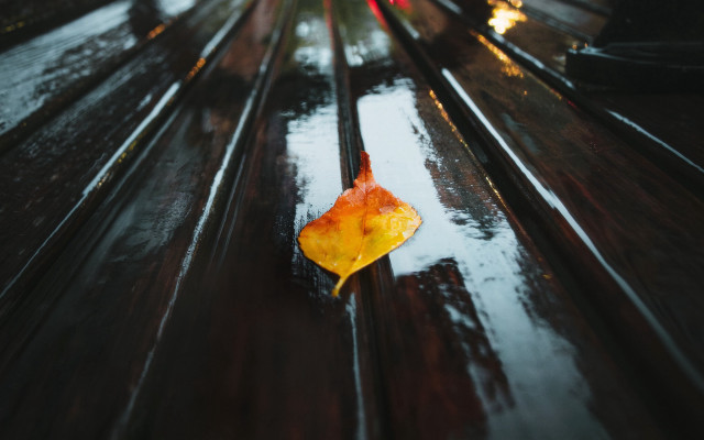 Leaf bench rainy city redcar free wallpaper for desktop - medium preview image