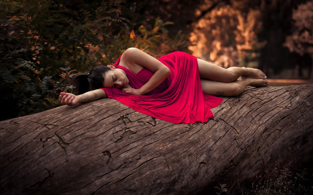 Woman red dress lying woods free wallpaper for desktop - medium preview image