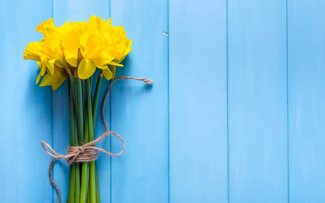 Yellow flowers blue wall rope free wallpaper for desktop - medium preview image