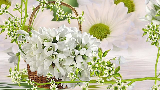 White flowers basket table floral free wallpaper for desktop - medium preview image