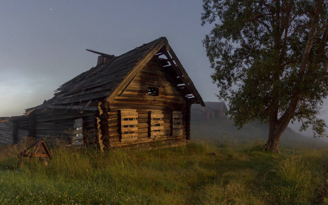 Small cabin foggy field tree free wallpaper for desktop - medium preview image