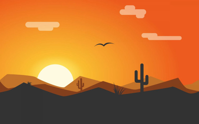 Sunset bird desert cactus horizon free wallpaper for desktop - medium preview image