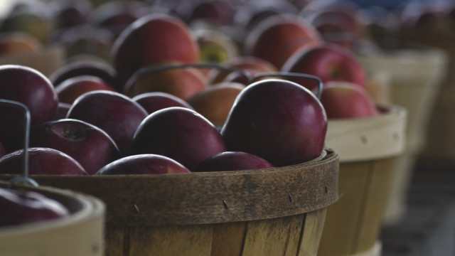 Baskets apples shallow depth tiltshift free wallpaper for desktop - medium preview image