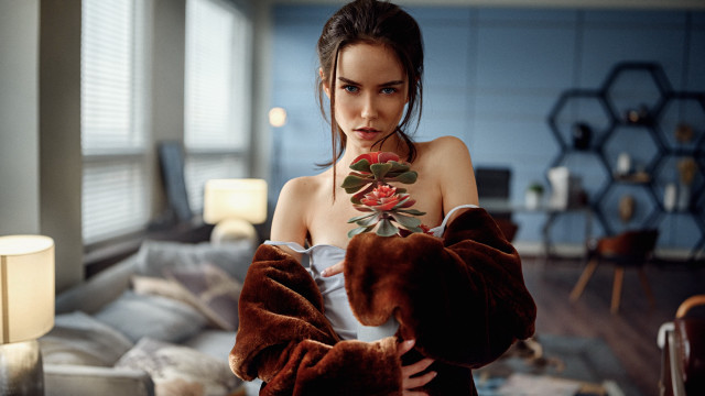 Eszter mattioni teddy bear portrait free wallpaper for desktop - medium preview image