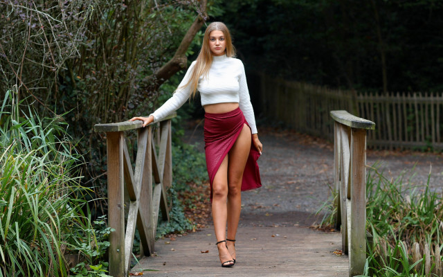 Woman skirt bridge crossed forests free wallpaper for desktop - medium preview image