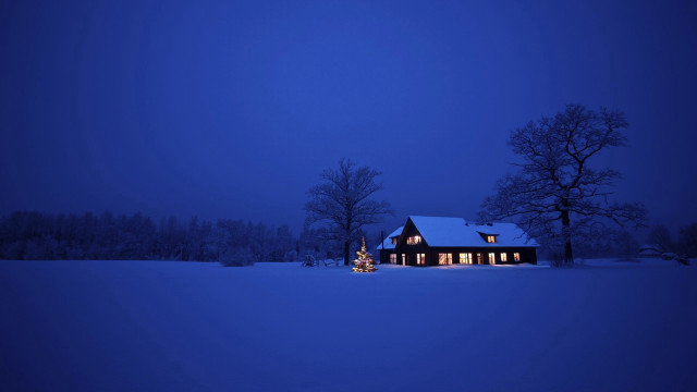 House christmas tree snow night #2 free wallpaper for desktop - medium preview image