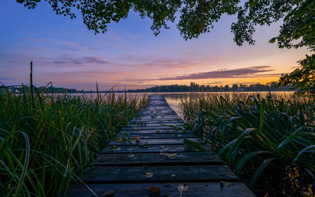 Wooden walkway lake sunset reeds free wallpaper for desktop - medium preview image