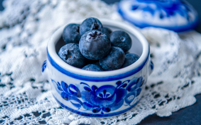 Blueberries lace doily stilllife evaline free wallpaper for desktop - medium preview image