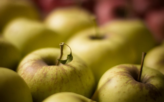 Green apples stem macro shallow free wallpaper for desktop - medium preview image
