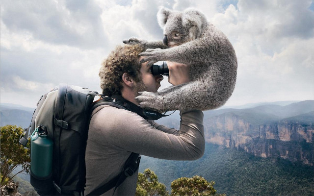 Man koala camera strap outdoors free wallpaper for desktop - medium preview image