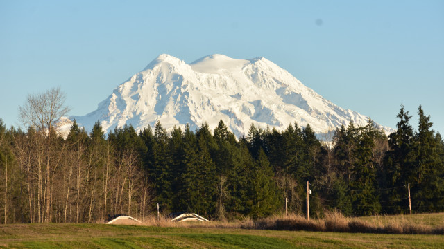 Mountain snow peak trees field free wallpaper for desktop - medium preview image